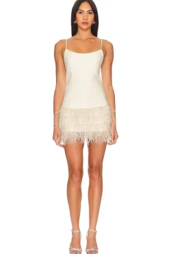 Hot Anika Mini Dress Dresses
