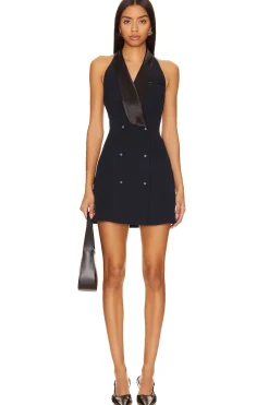 Fashion Bray Mini Dress Dresses