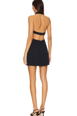 Fashion Bray Mini Dress Dresses
