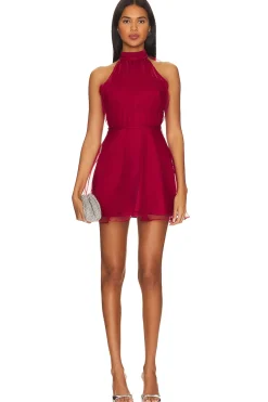 New Heartbreaker Dress Dresses