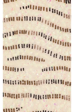 Clearance Lucia Embellished Mini Dress Dresses