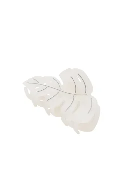 Best Palm Leaf Clip Beauty